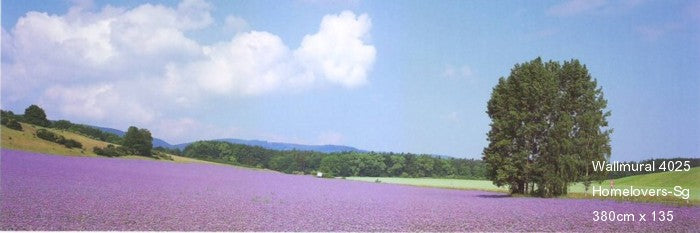 wall murals lavender 4025 (taiwan)